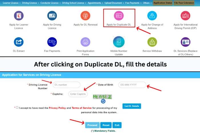 Duplicate Driving License