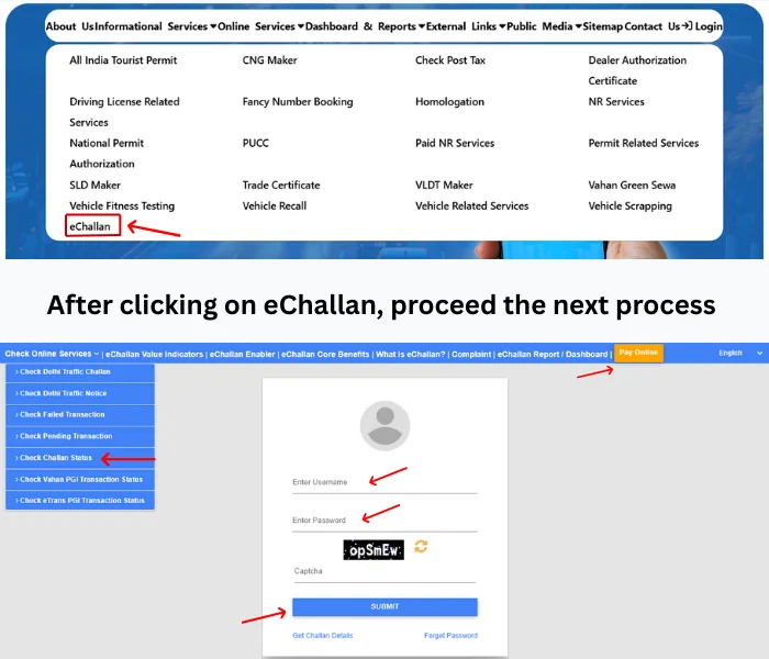 Pay E-Challan